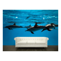 ооо промбудмонтаж